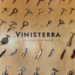 Vinisterra Vinicola